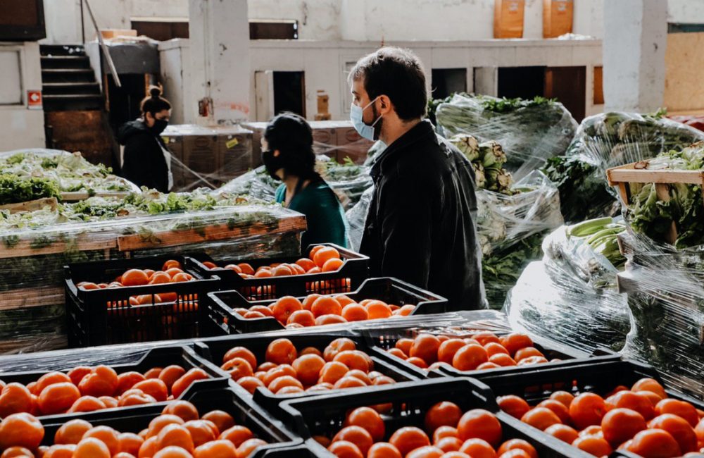 verduras valpo