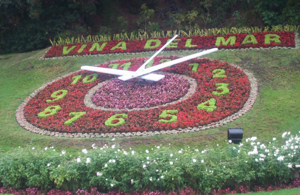 RELOJ DE FLORES